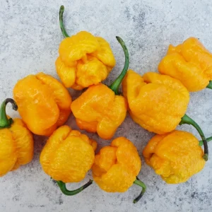 moruga-scorpion-yellow-1024×683 (1)